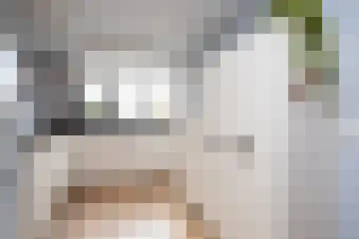 Alet Schoutensingel 14 Berkel en Rodenrijs thumbnail 15