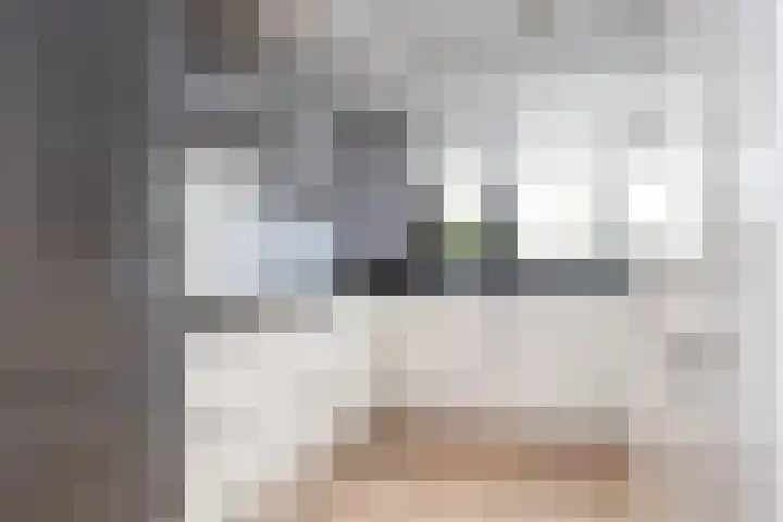 Alet Schoutensingel 14 Berkel en Rodenrijs thumbnail 16