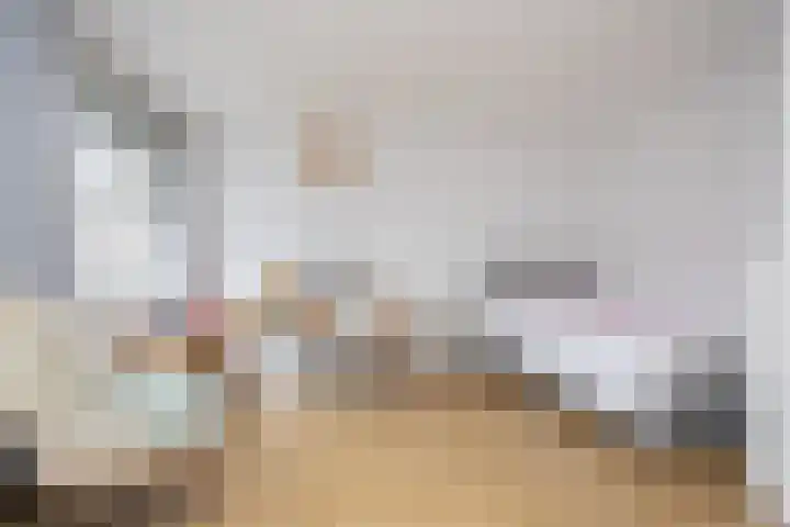 Alet Schoutensingel 14 Berkel en Rodenrijs thumbnail 22