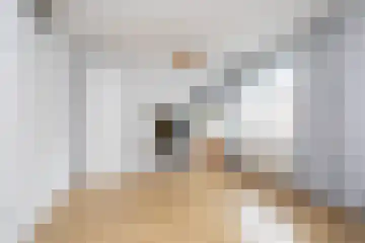 Alet Schoutensingel 14 Berkel en Rodenrijs thumbnail 23