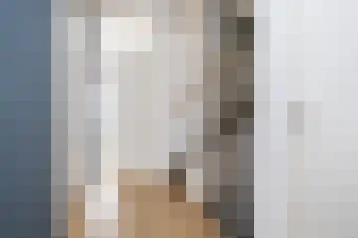 Alet Schoutensingel 14 Berkel en Rodenrijs thumbnail 29