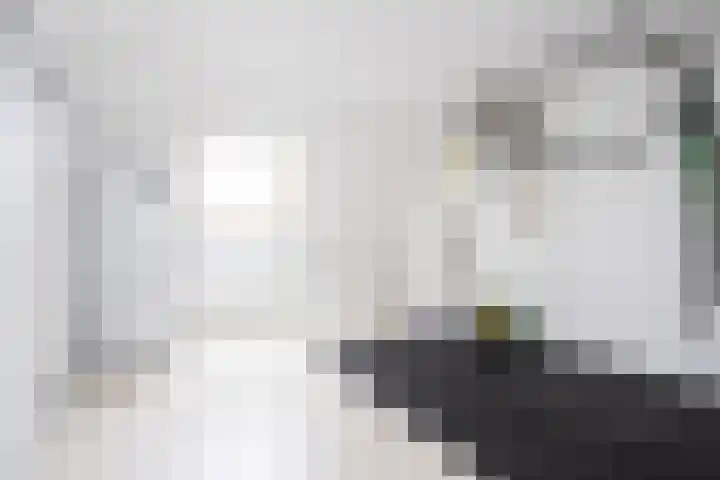 Alet Schoutensingel 14 Berkel en Rodenrijs thumbnail 30