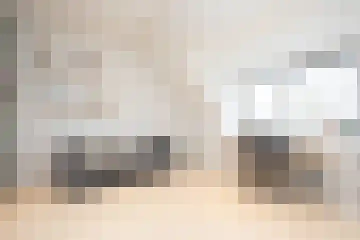Alet Schoutensingel 14 Berkel en Rodenrijs thumbnail 35