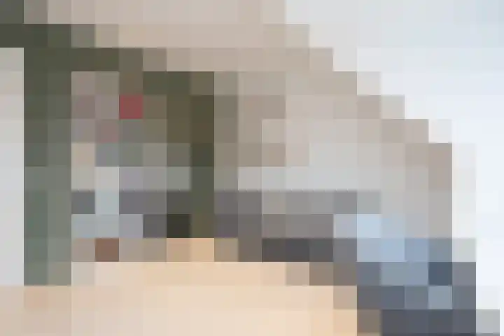 Alet Schoutensingel 14 Berkel en Rodenrijs thumbnail 37