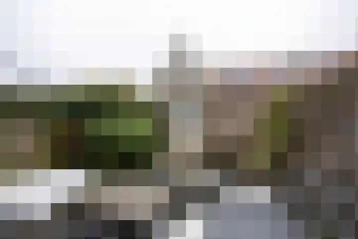 Alet Schoutensingel 14 Berkel en Rodenrijs thumbnail 40