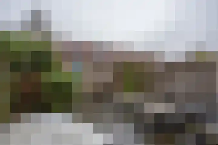 Alet Schoutensingel 14 Berkel en Rodenrijs thumbnail 41