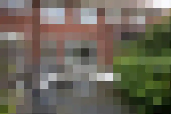 Alet Schoutensingel 14 Berkel en Rodenrijs thumbnail 42