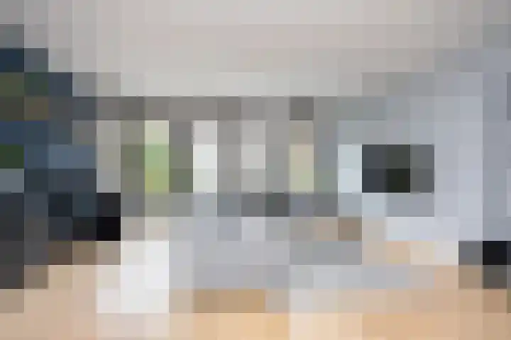 Alet Schoutensingel 14 Berkel en Rodenrijs thumbnail 8