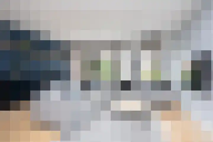 Alet Schoutensingel 14 Berkel en Rodenrijs thumbnail 9