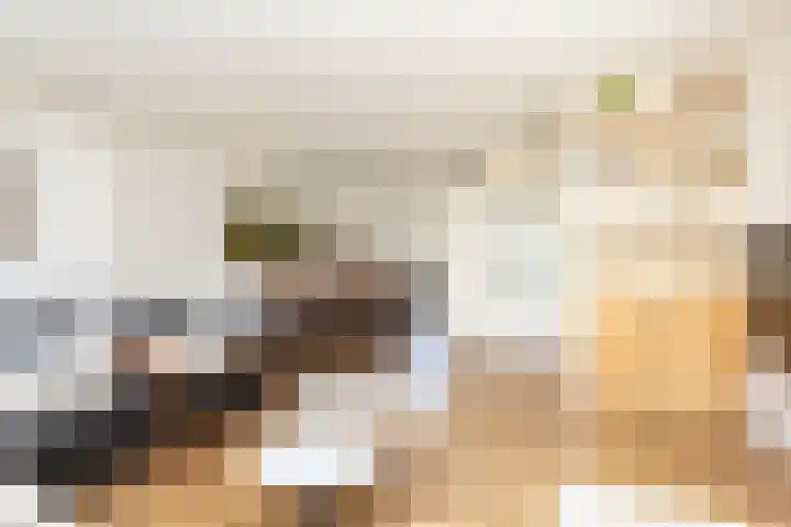 Alet Schoutensingel 24 Berkel en Rodenrijs thumbnail 12