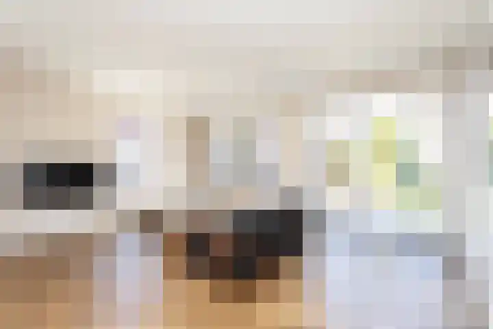 Alet Schoutensingel 24 Berkel en Rodenrijs thumbnail 14