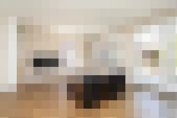 Alet Schoutensingel 24 Berkel en Rodenrijs thumbnail 15
