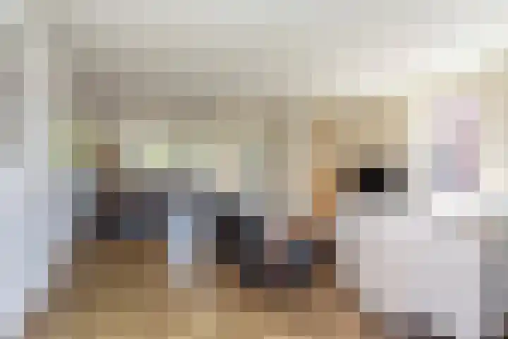 Alet Schoutensingel 24 Berkel en Rodenrijs thumbnail 16