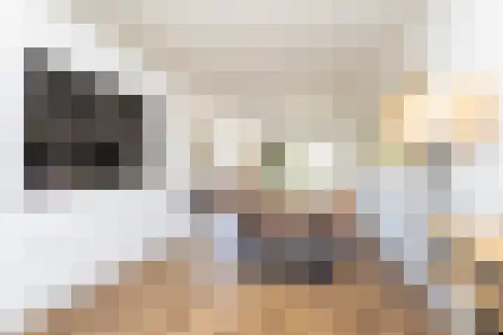 Alet Schoutensingel 24 Berkel en Rodenrijs thumbnail 22