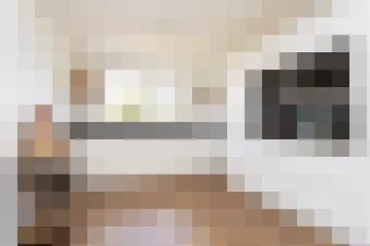 Alet Schoutensingel 24 Berkel en Rodenrijs thumbnail 23