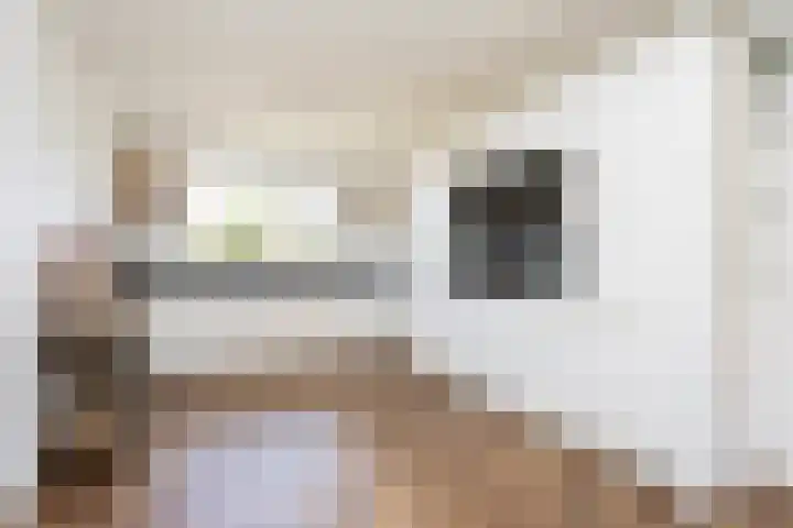 Alet Schoutensingel 24 Berkel en Rodenrijs thumbnail 25