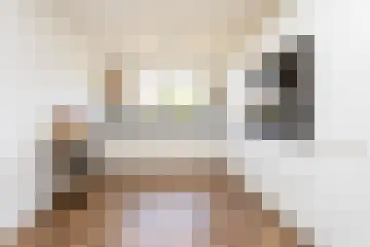 Alet Schoutensingel 24 Berkel en Rodenrijs thumbnail 26