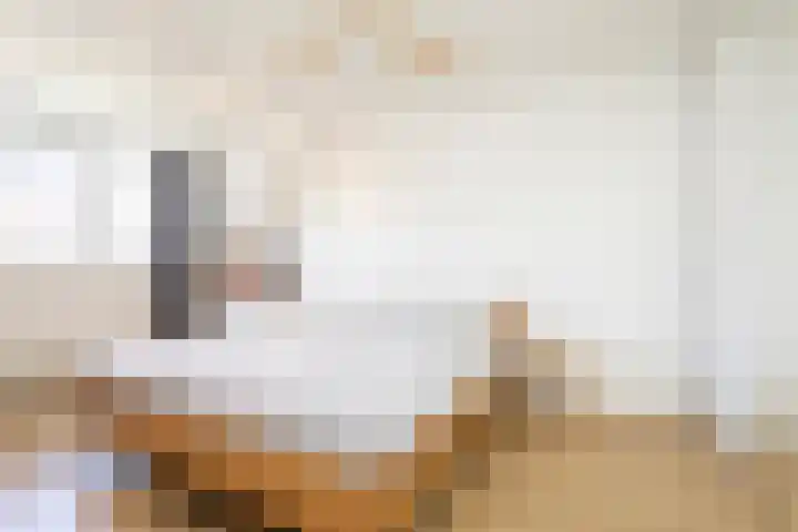 Alet Schoutensingel 24 Berkel en Rodenrijs thumbnail 27