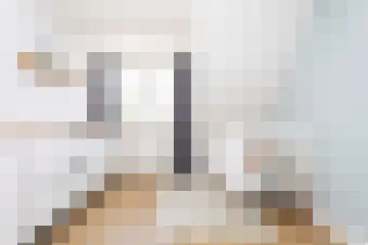 Alet Schoutensingel 24 Berkel en Rodenrijs thumbnail 30