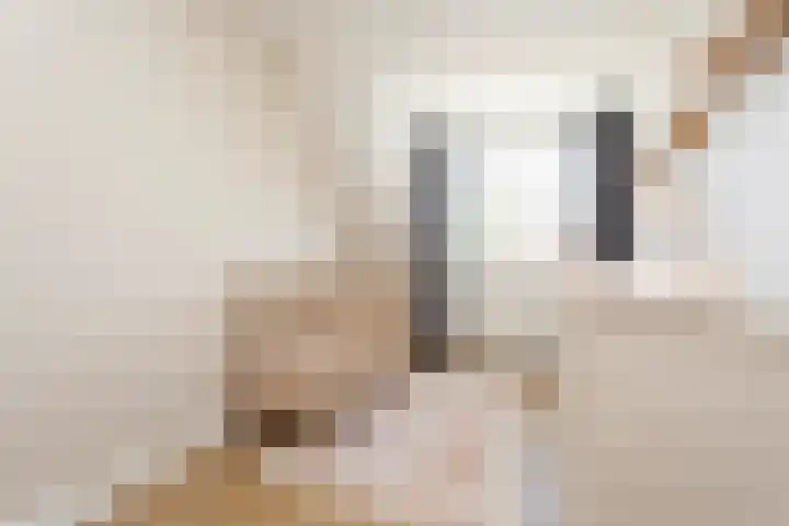 Alet Schoutensingel 24 Berkel en Rodenrijs thumbnail 33