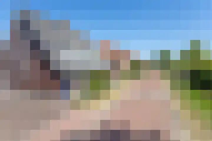Alet Schoutensingel 24 Berkel en Rodenrijs thumbnail 4