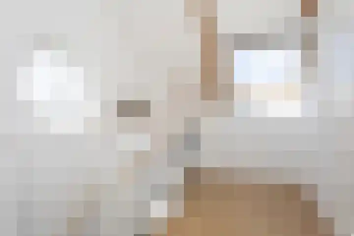 Alet Schoutensingel 24 Berkel en Rodenrijs thumbnail 40