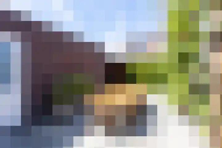 Alet Schoutensingel 24 Berkel en Rodenrijs thumbnail 45