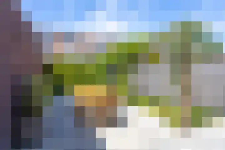 Alet Schoutensingel 24 Berkel en Rodenrijs thumbnail 46