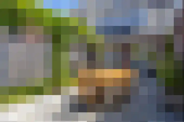 Alet Schoutensingel 24 Berkel en Rodenrijs thumbnail 47