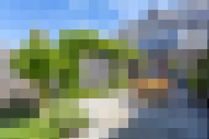 Alet Schoutensingel 24 Berkel en Rodenrijs thumbnail 48