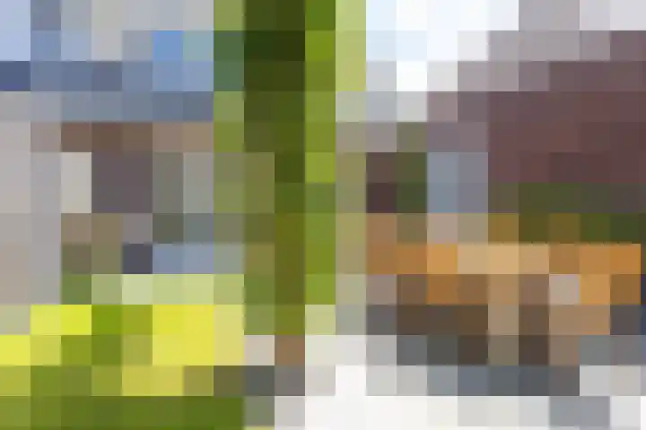 Alet Schoutensingel 24 Berkel en Rodenrijs thumbnail 49