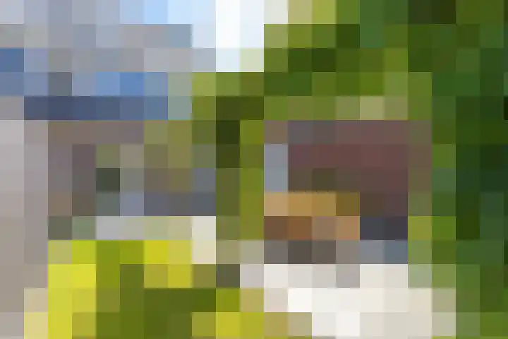 Alet Schoutensingel 24 Berkel en Rodenrijs thumbnail 50