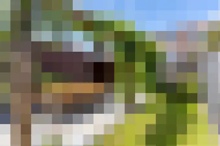 Alet Schoutensingel 24 Berkel en Rodenrijs thumbnail 51