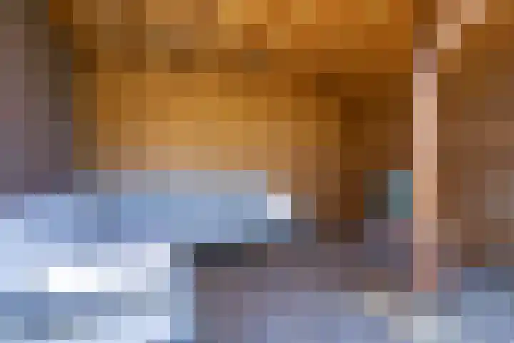 Alet Schoutensingel 24 Berkel en Rodenrijs thumbnail 54