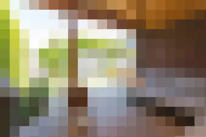 Alet Schoutensingel 24 Berkel en Rodenrijs thumbnail 55