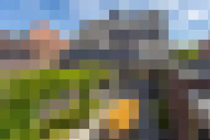 Alet Schoutensingel 24 Berkel en Rodenrijs thumbnail 56