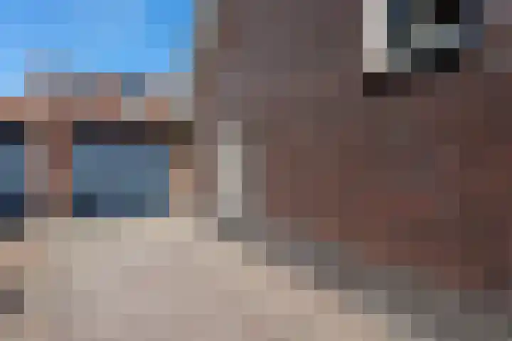 Alet Schoutensingel 24 Berkel en Rodenrijs thumbnail 6