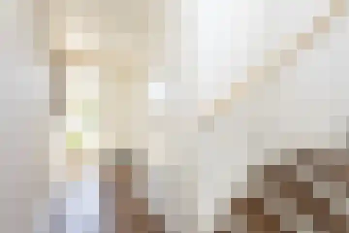 Alet Schoutensingel 24 Berkel en Rodenrijs thumbnail 8