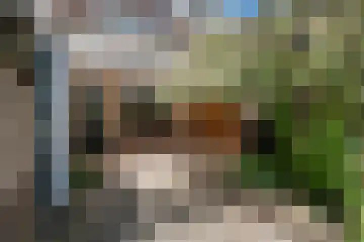 Aletta Jacobs-erf 194 Dordrecht thumbnail 30