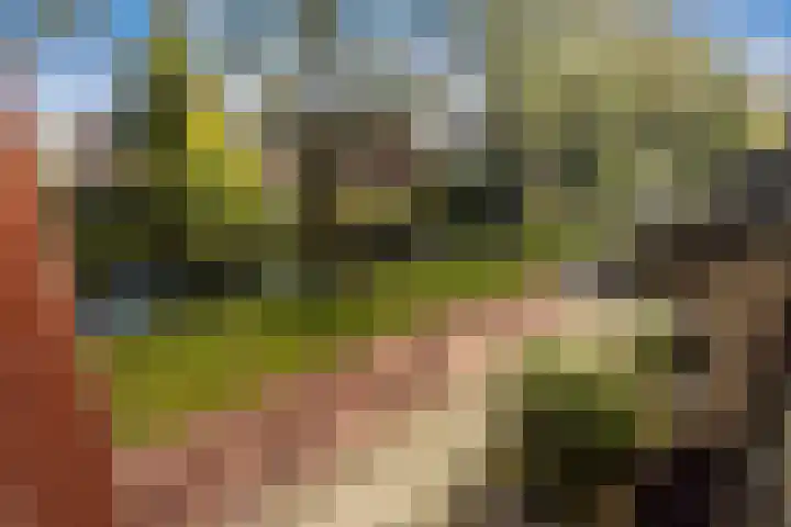 Aletta Jacobs-erf 43 Dordrecht thumbnail 38