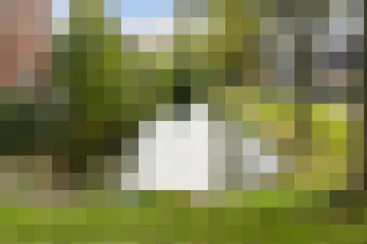 Aletta Jacobs-erf 43 Dordrecht thumbnail 39