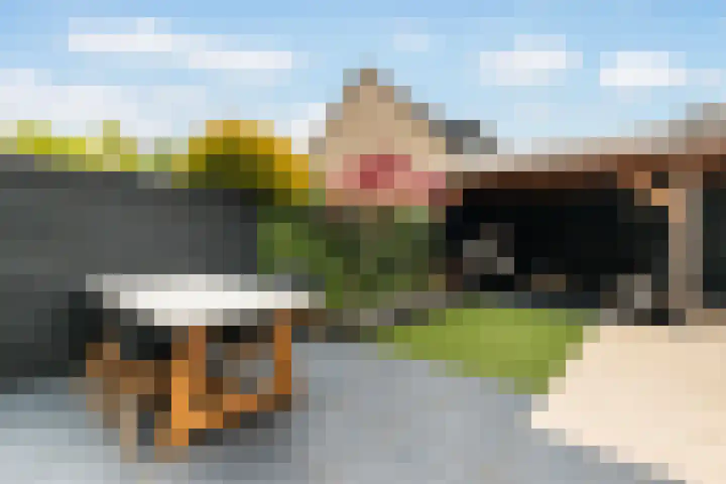 Aletta Jacobs-erf 458 Dordrecht thumbnail 4