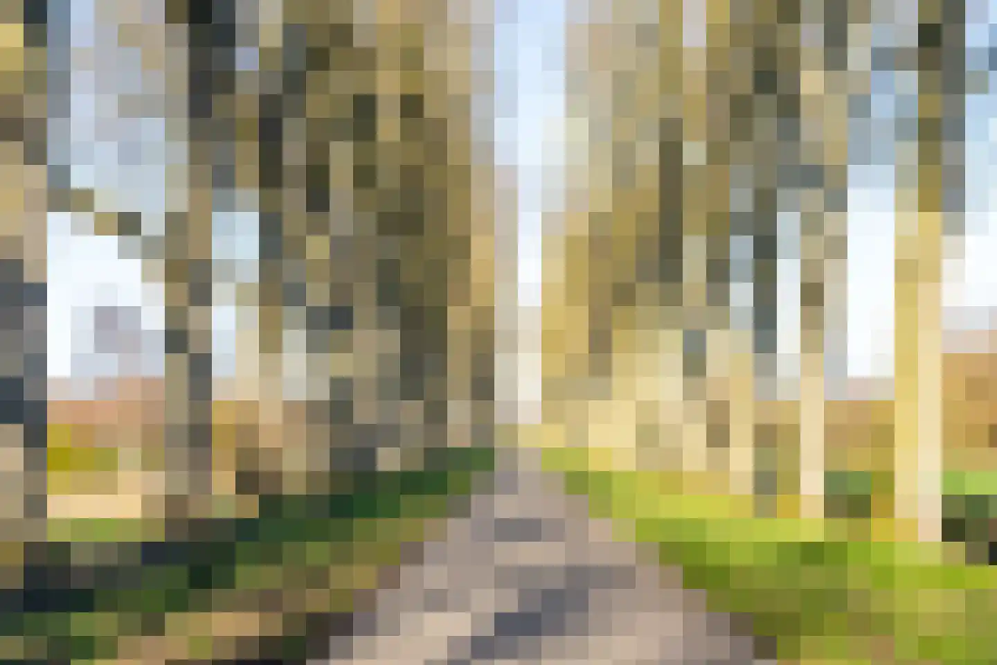 Aletta Jacobs-erf 472 Dordrecht thumbnail 33