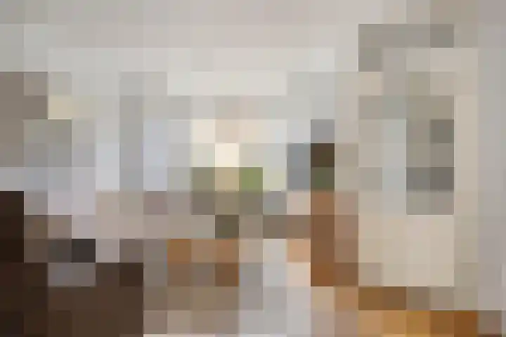 Aletta Jacobs-erf 540 Dordrecht thumbnail 5