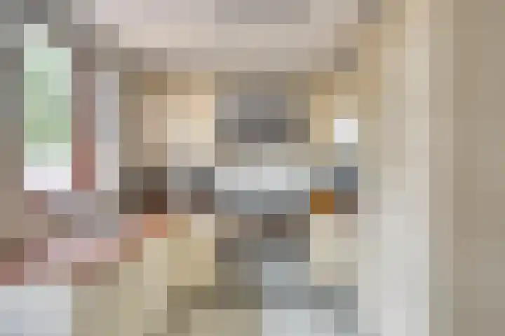 Aletta Jacobs-erf 540 Dordrecht thumbnail 8