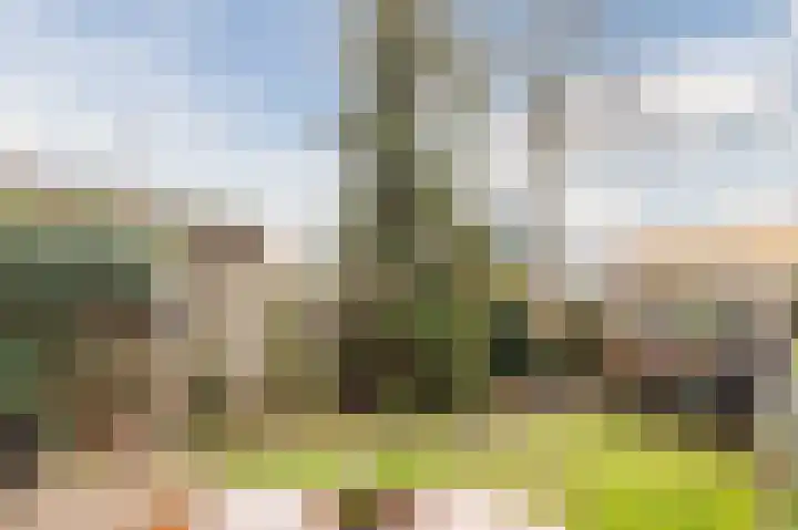 Aletta Jacobsdreef 70 Hoofddorp thumbnail 55