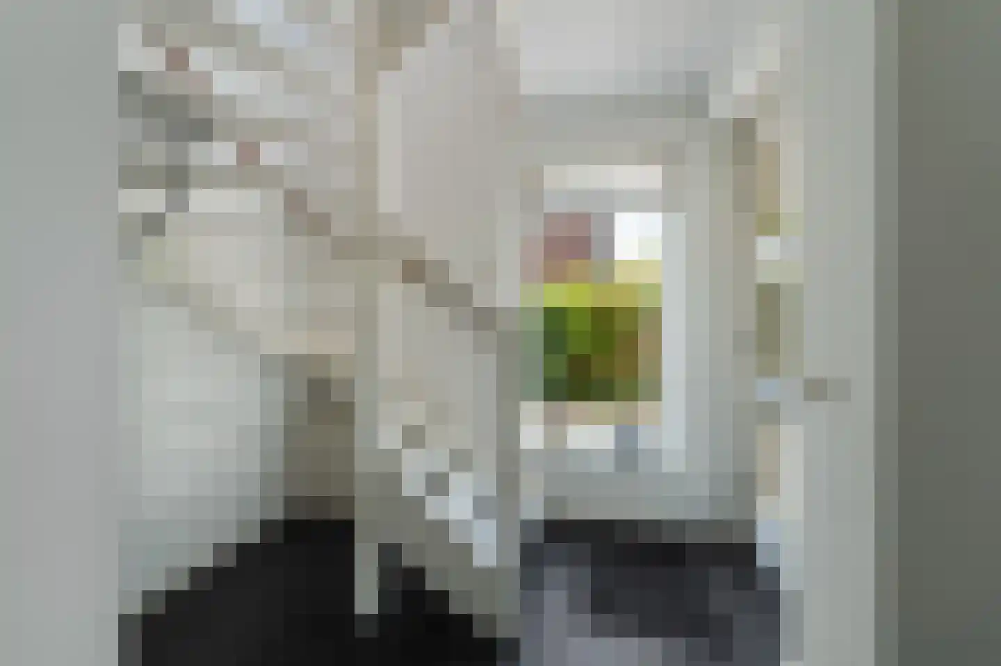 Aletta Jacobshage 3 Emmeloord thumbnail 14