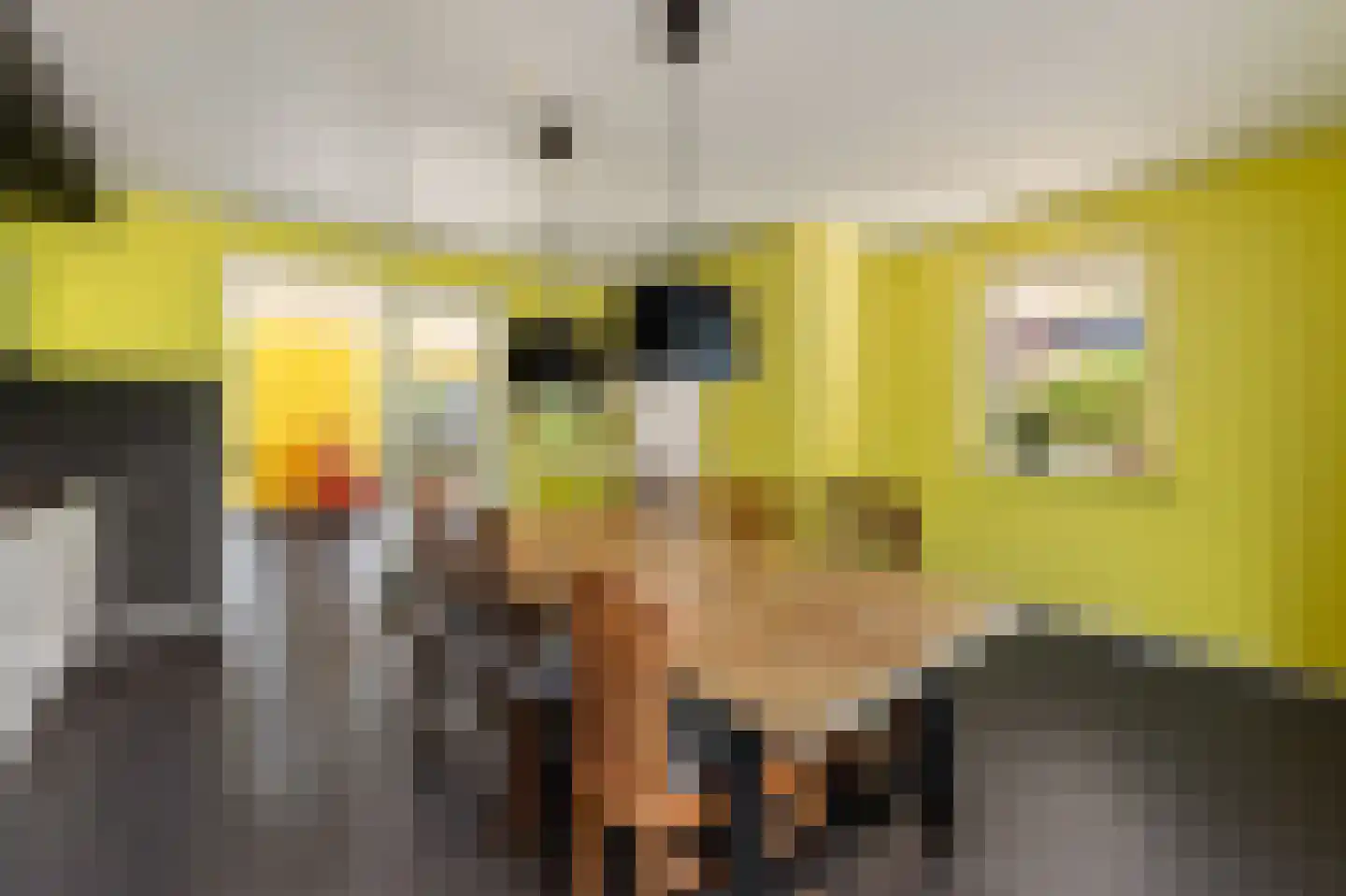 Aletta Jacobshage 3 Emmeloord thumbnail 21