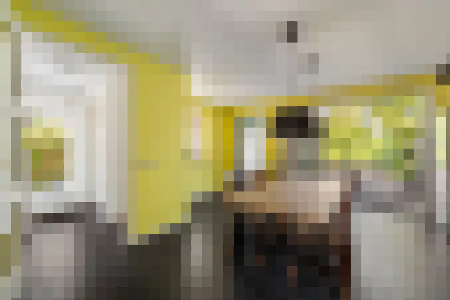 Aletta Jacobshage 3 Emmeloord thumbnail 22