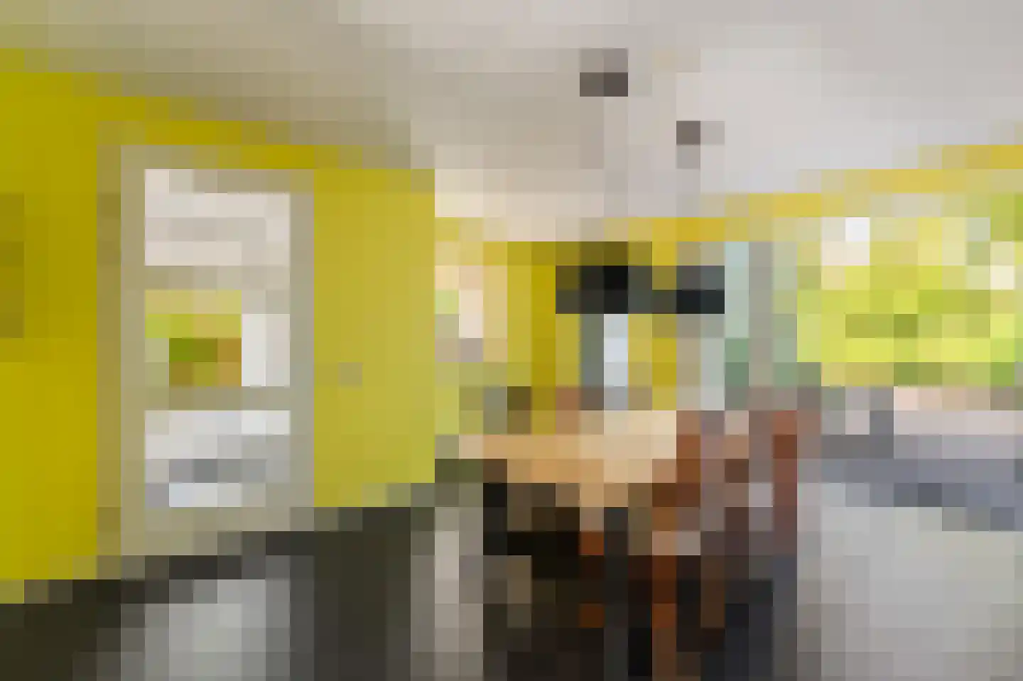 Aletta Jacobshage 3 Emmeloord thumbnail 23